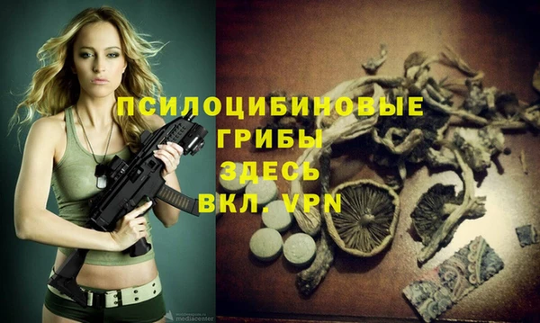 таблы Белокуриха